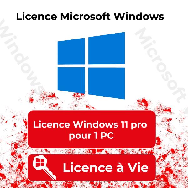 licence windows 11-1.jpg